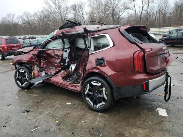 2024 KIA TELLURIDE - 5XYP6DGC6RG437724