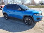 Lot #3025040227 2018 JEEP COMPASS TR