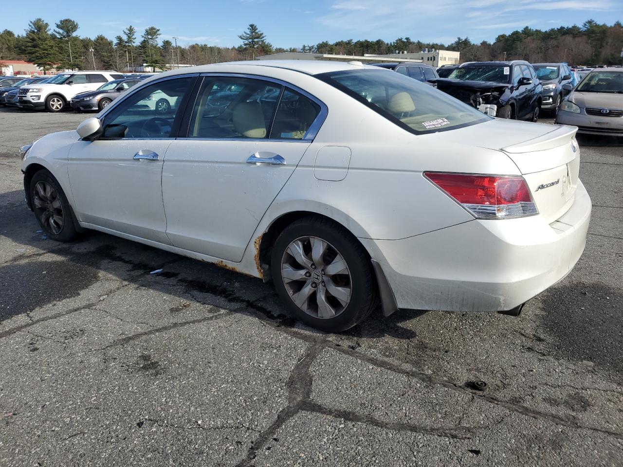 Lot #3026930990 2008 HONDA ACCORD EXL