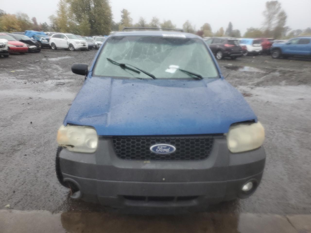 Lot #2977224165 2007 FORD ESCAPE XLT