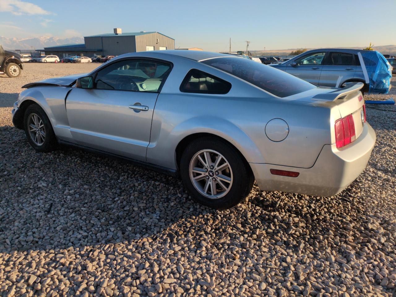 Lot #2987055506 2005 FORD MUSTANG