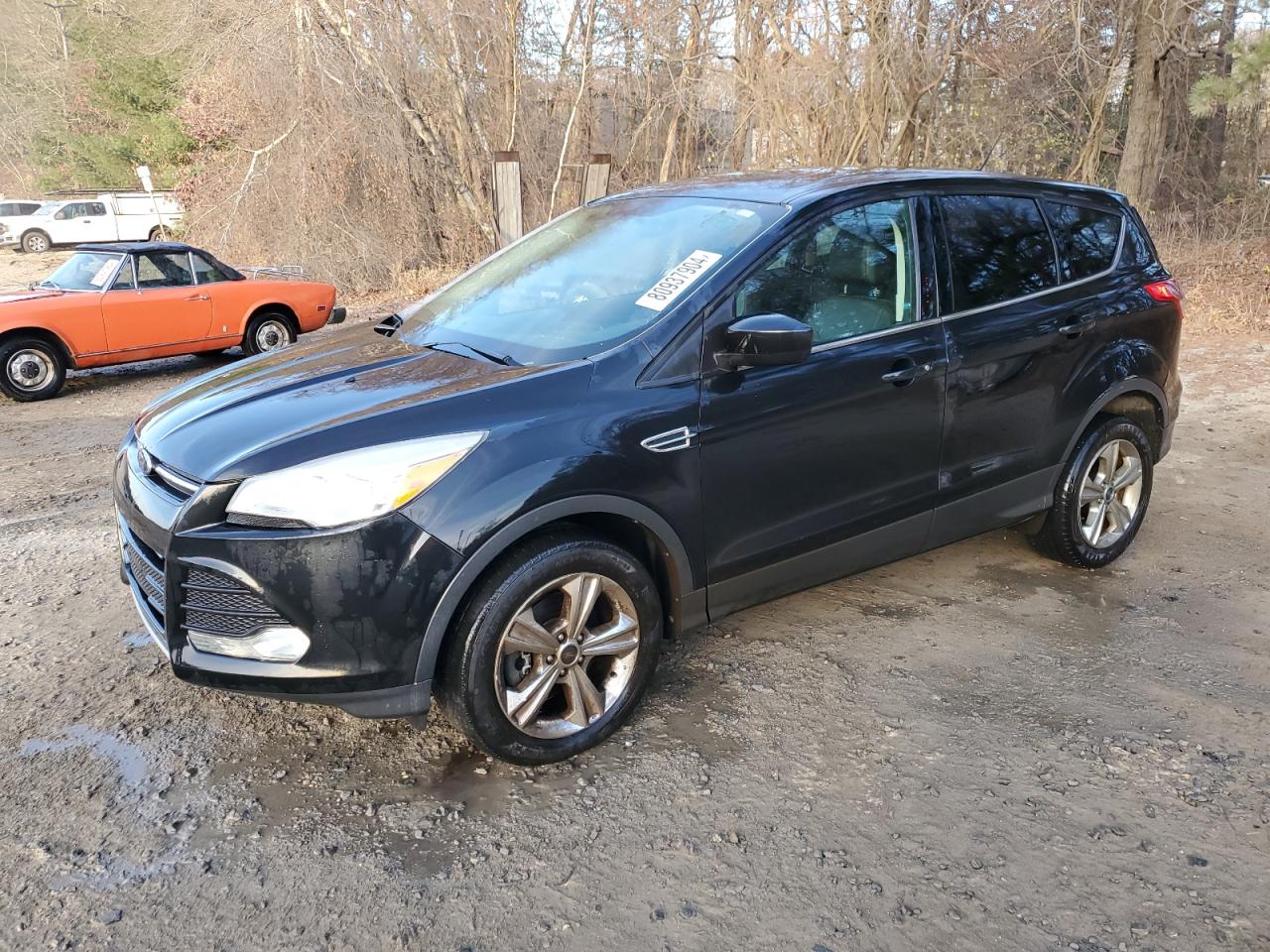 Lot #2993314848 2014 FORD ESCAPE SE