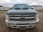 Lot #3024317030 2013 CHEVROLET SILVERADO