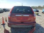 Lot #3023895245 2007 HONDA CR-V EX