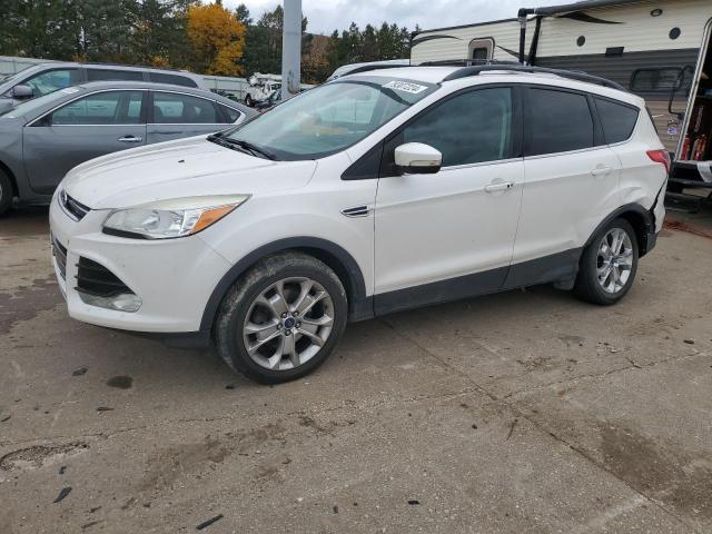 Global Auto Auctions: 2013 FORD ESCAPE SEL