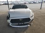 Lot #3025020253 2024 FORD MUSTANG