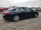 Lot #3023823907 2014 HONDA ACCORD EXL