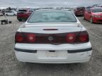 Lot #3024309011 2002 CHEVROLET IMPALA LS