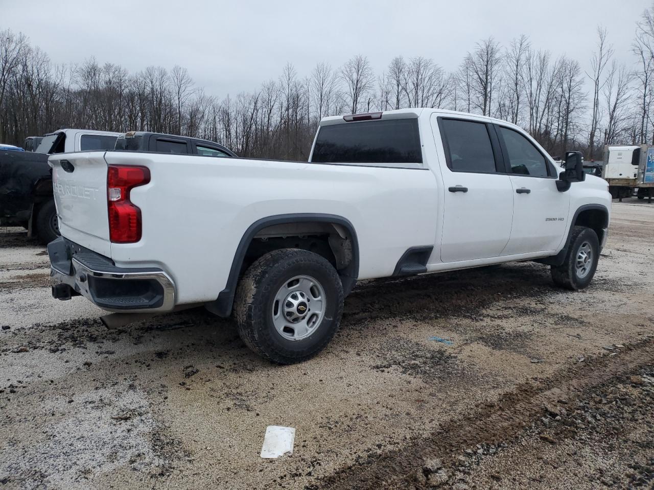 Lot #2996708839 2021 CHEVROLET SILVERADO