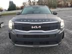 Lot #3021148389 2022 KIA TELLURIDE