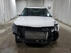 Lot #3025117237 2022 KIA TELLURIDE