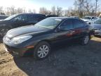 LEXUS ES 330 JTHBA30G740017421 photo
