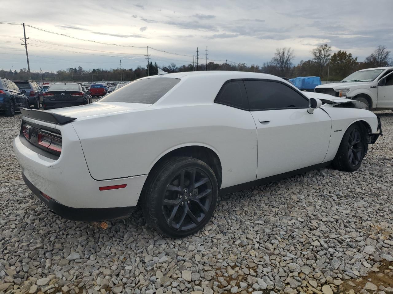 Lot #2974771161 2021 DODGE CHALLENGER