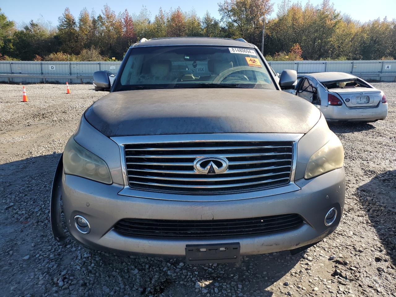 Lot #2988739650 2011 INFINITI QX56