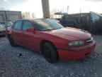 Lot #3024082668 2005 CHEVROLET IMPALA