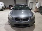 Lot #3004410842 2010 HONDA ACCORD EXL