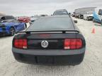 Lot #2965522202 2005 FORD MUSTANG