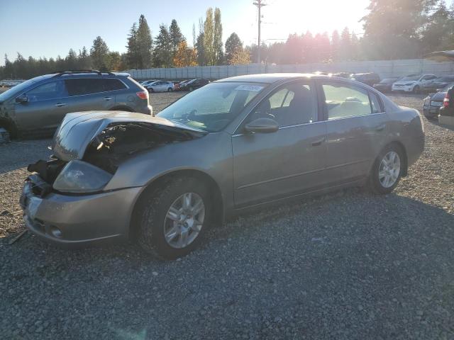 NISSAN ALTIMA S 2006 silver  gas 1N4AL11D96N383862 photo #1