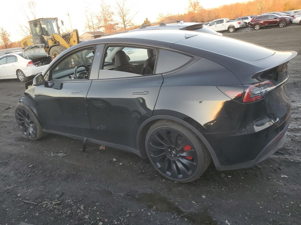 Lot #3037246486 2023 TESLA MODEL Y