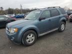 FORD ESCAPE XLT photo