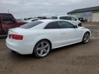 AUDI S5 PREMIUM photo