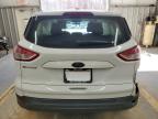 Lot #3024051202 2014 FORD ESCAPE S