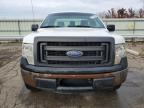 Lot #3024623598 2013 FORD F-150 XL