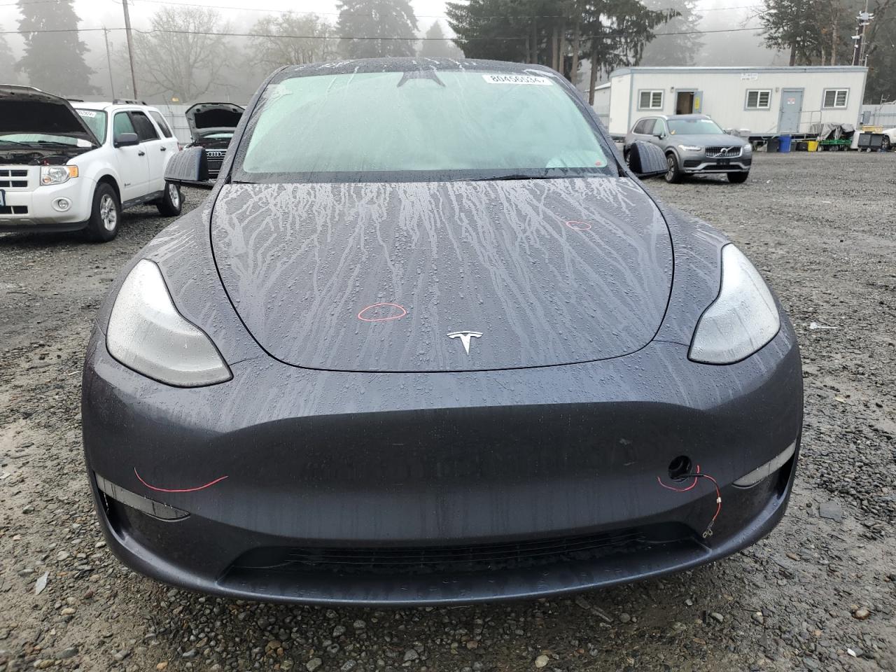 Lot #2986948996 2023 TESLA MODEL Y