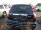 Lot #3045571661 2010 HONDA CR-V EX