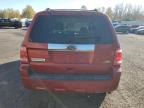 Lot #3023891227 2012 FORD ESCAPE LIM