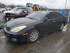 Top Destinations for Shipping Cars from the USA