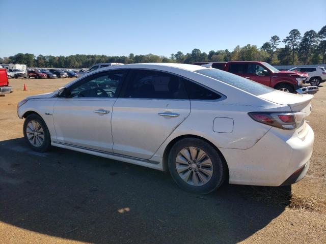 VIN KMHE24L18GA027975 2016 HYUNDAI SONATA no.2