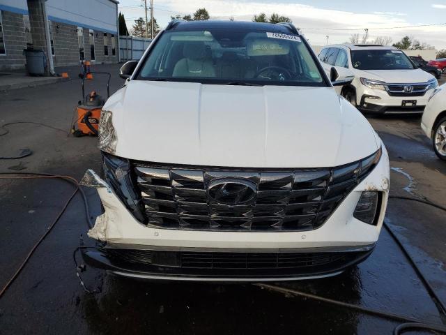 VIN 5NMJECAE5PH205597 2023 Hyundai Tucson, Limited no.5