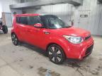 KIA SOUL ! photo