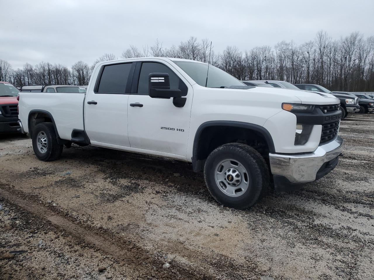 Lot #2996708839 2021 CHEVROLET SILVERADO