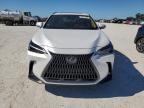 Lot #3004276694 2024 LEXUS NX 250 PRE