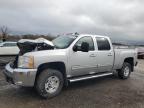 Lot #3006651450 2010 CHEVROLET SILVERADO