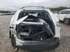 Lot #3023907223 2024 TOYOTA RAV4 XLE P