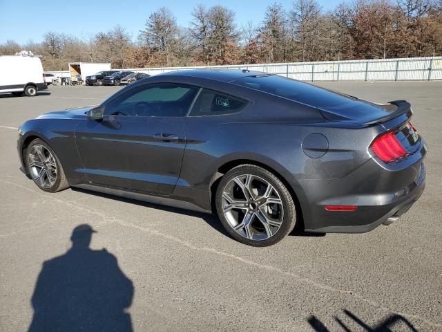 VIN 1FA6P8TH5K5105926 2019 Ford Mustang no.2