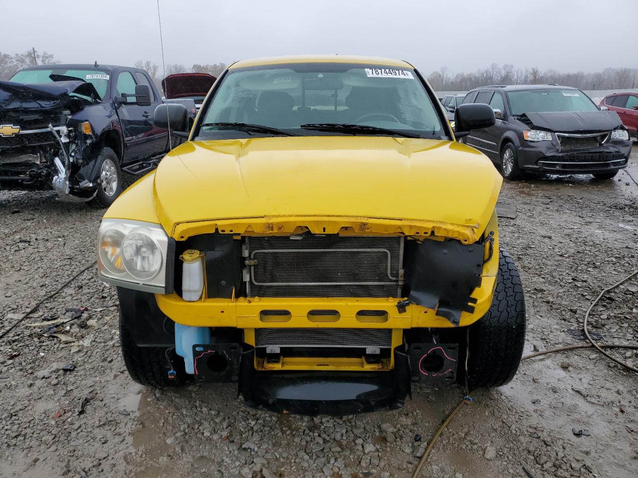 Lot #2959396393 2007 DODGE DAKOTA QUA