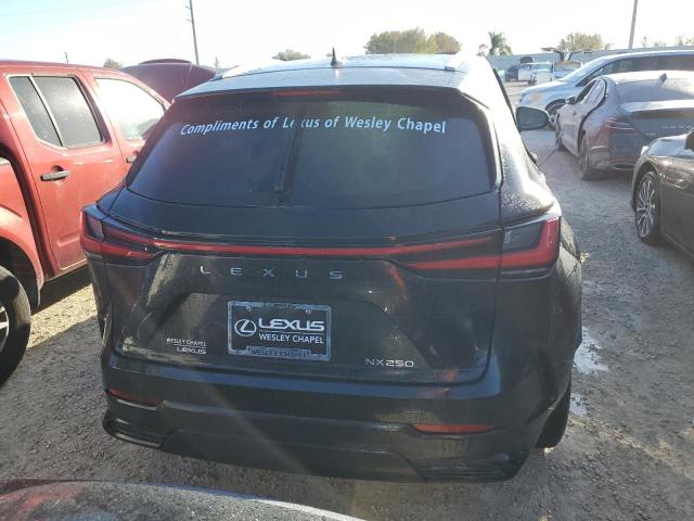 2024 LEXUS NX 250 2T2GDCAZ6RC009754
