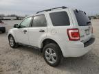 Lot #3023866853 2011 FORD ESCAPE XLT