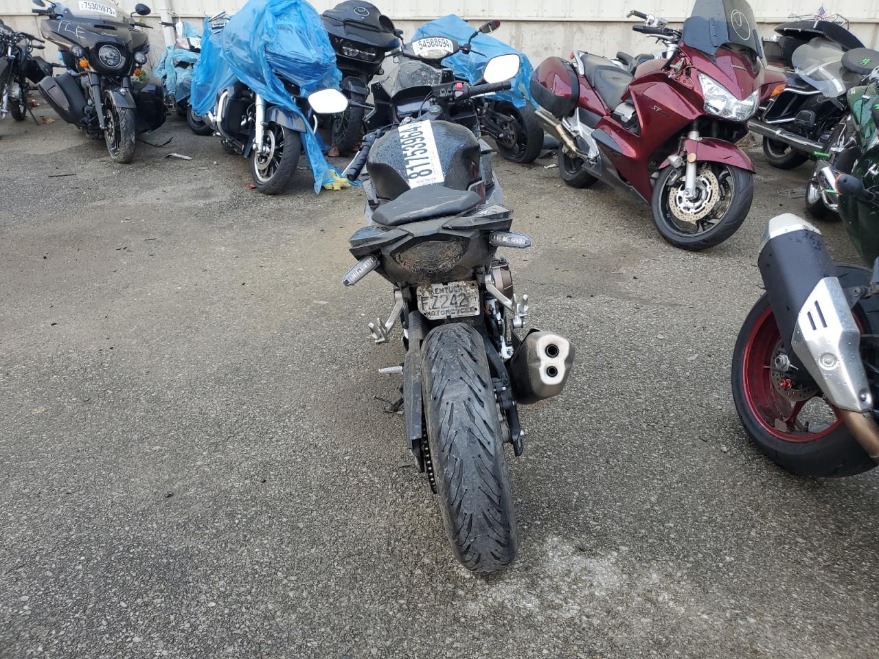 Lot #3050209104 2023 HONDA CBR500 RA