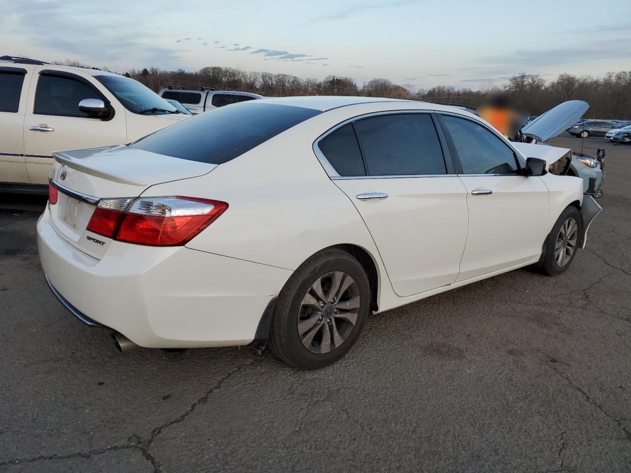 Lot #3025942945 2015 HONDA ACCORD SPO