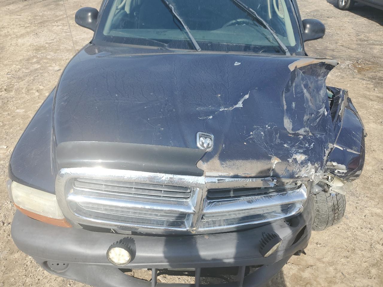 Lot #2979321692 2004 DODGE DAKOTA SXT