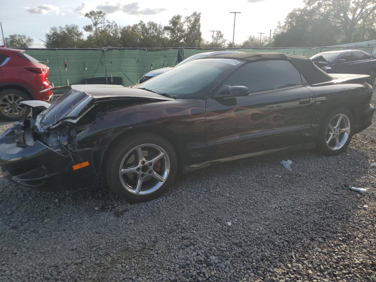 Lot #3003078690 1999 PONTIAC FIREBIRD T