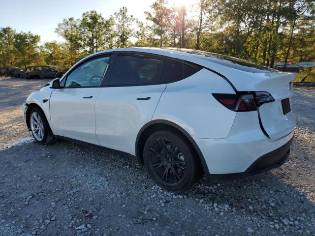 2024 TESLA MODEL Y - 7SAYGAEE7RF089303