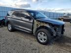 Lot #3025867495 2023 FORD EXPLORER X