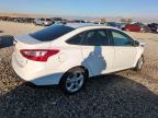 Lot #3023275975 2013 FORD FOCUS SE