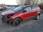 Lot #3024608636 2016 FORD ESCAPE TIT